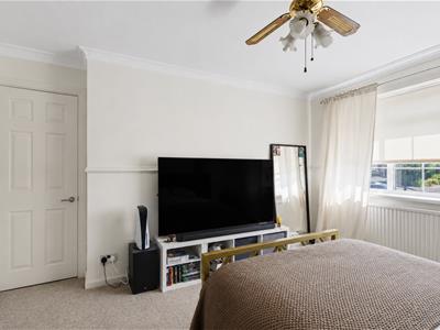 Picture 15